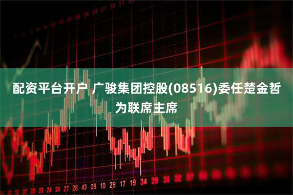 配资平台开户 广骏集团控股(08516)委任楚金哲为联席主席