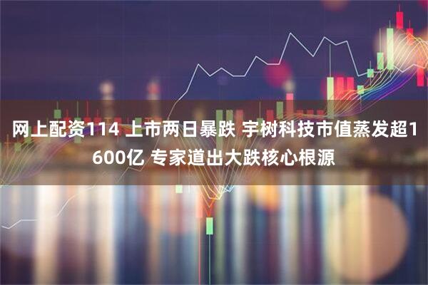 网上配资114 上市两日暴跌 宇树科技市值蒸发超1600亿 专家道出大跌核心根源