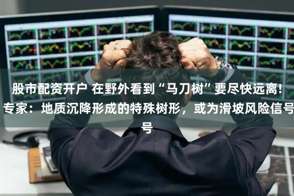 股市配资开户 在野外看到“马刀树”要尽快远离! 专家：地质沉降形成的特殊树形，或为滑坡风险信号